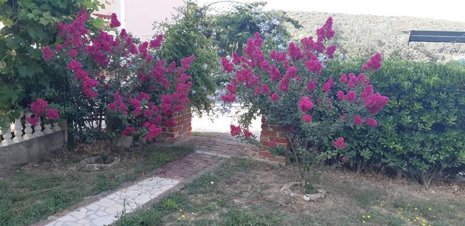 Apartments Robi- Swimming Pool And Beautiful Garden Kampor Екстер'єр фото
